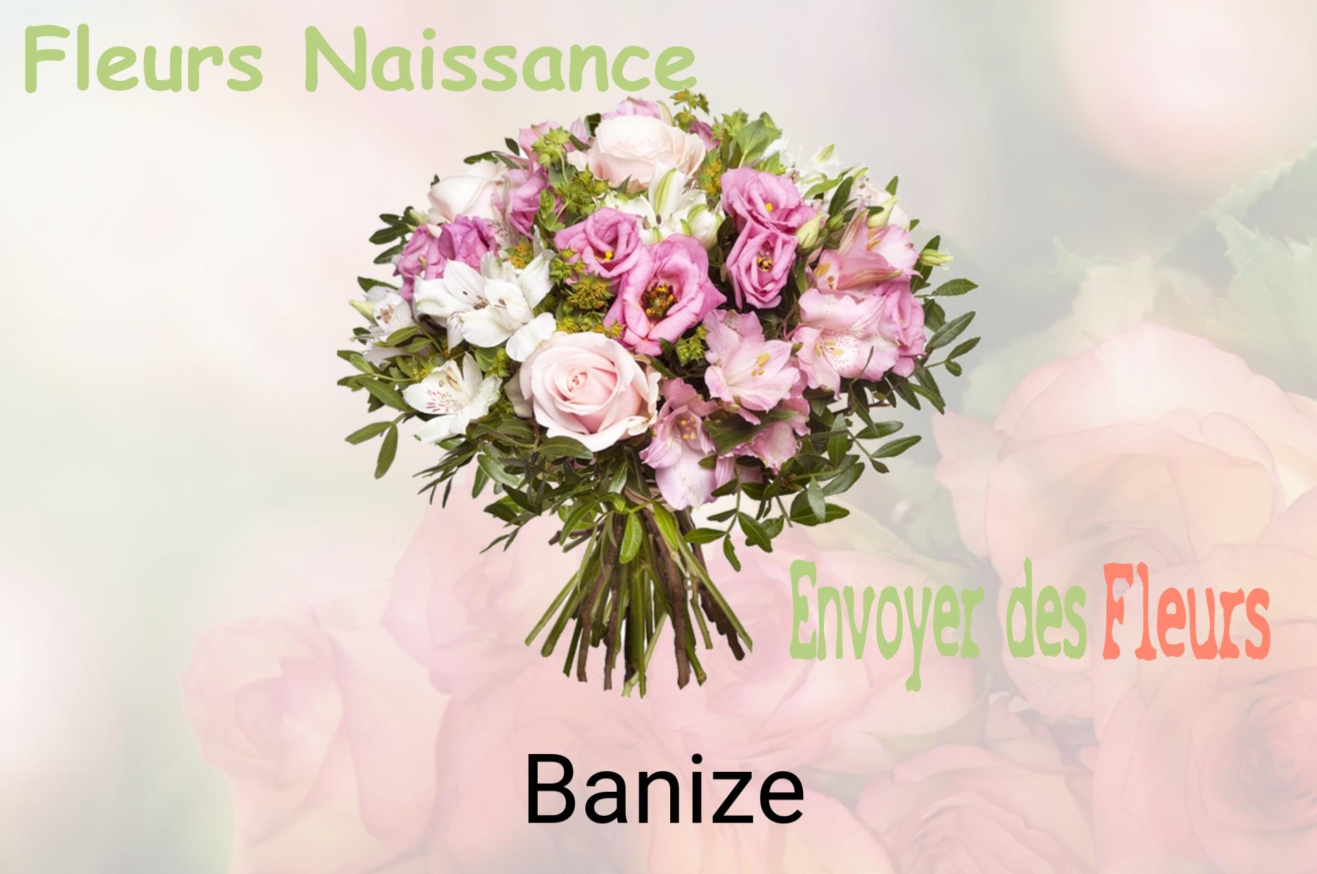 Bouquet de fleurs de naissance livré à Banize